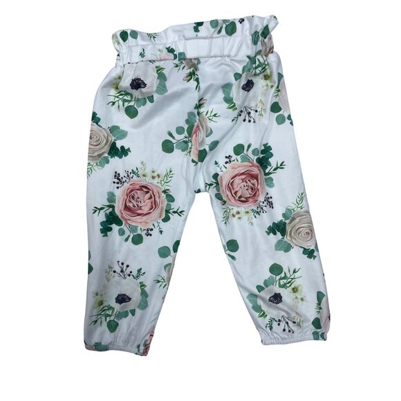 Shenzhen Toddler Girl's Green and Purple 3-Piece Florals Set Sz 3-6M - Picture 14 of 16